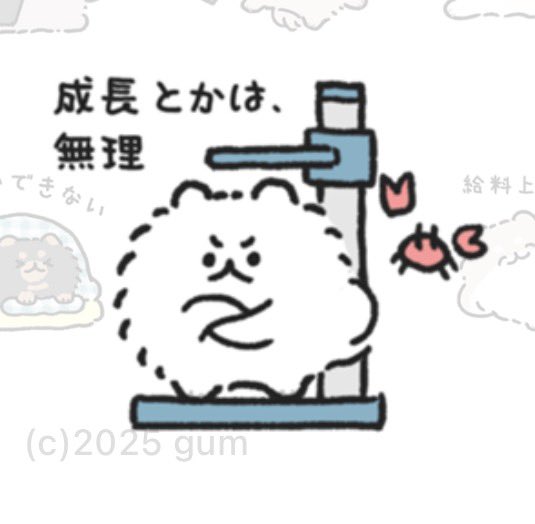 akatonbo_fall's tweet photo. @mechabuu69 可愛いでしょー！！フワフワで癒し🥰🥰🥰
そうなのたまにカニさんと一緒にいるんだ笑　こんな感じ😸 https://t.co/bwPFAdS19R