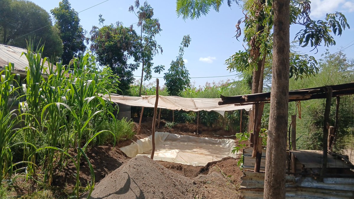 JamiiAjibikacbo's tweet photo. #YVAction Azolla Ponds at the Diet Bora Learning & Innovation Hub in Nakuru West. Azolla is a climate-smart, low-cost feed resource, 4 youth entrepreneurship, & resilient food systems opportunities @CAREinKenya @KennedyOdede @susankihika @SUN_CSA_KENYA @GAINAlliance_KE https://t.co/kdv6NhBrYS