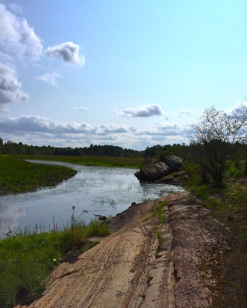 MurphysPointPP tweet picture