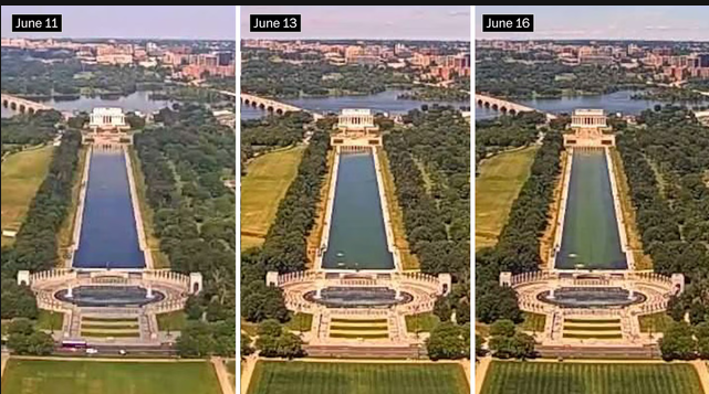 HighImpactFlix's tweet photo. The poetic imagery of Trump's expensive attempt to clean up the reflecting pool over there in PEDOville couldn't be any funnier. Instead of draining the swamp, he made it even swampier. But isn't that what all presidents do? https://t.co/VU7YWY24uT