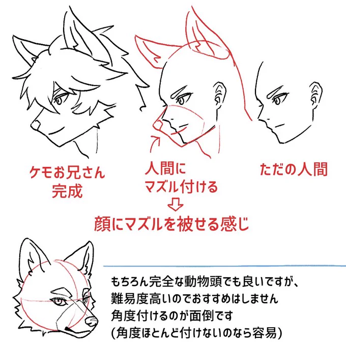 これは記事にも追加しますが、
今回「かっこいいケモノ系Live2Dモデル作りたいけど全然わからん、人間にケモ耳じゃ満足できない」の人向けなので、難易度程々な人間と動物の丁度中間みたいなスタンダードケモノ(?)を使います🐺 