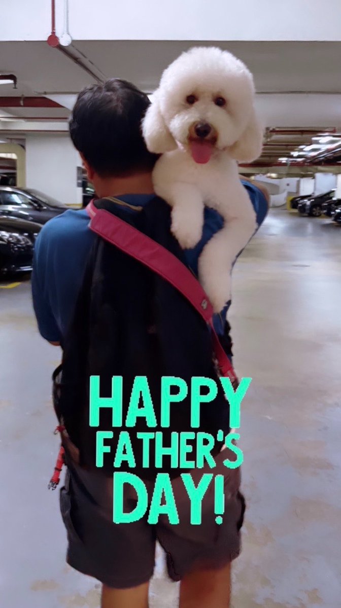 Poppy22082022's tweet photo. 父の日おめでとう👨🏻💕

 #goldendoodle  #ゴールデンドゥードル  #父の日 https://t.co/YokpGCbTud