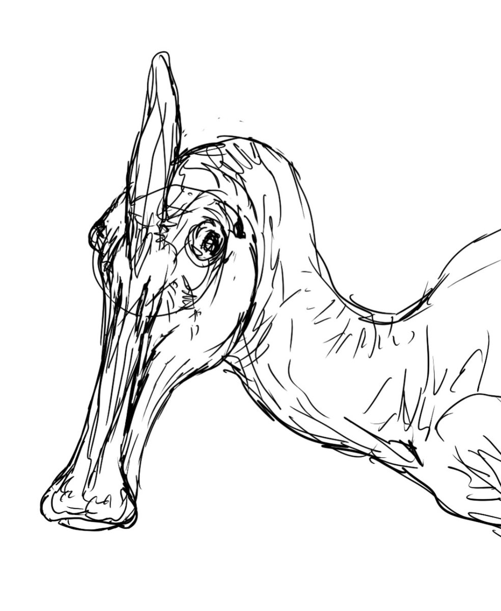 jock_o_rama's tweet photo. speculative hadrosaur doodles https://t.co/mhe0tqDJN7