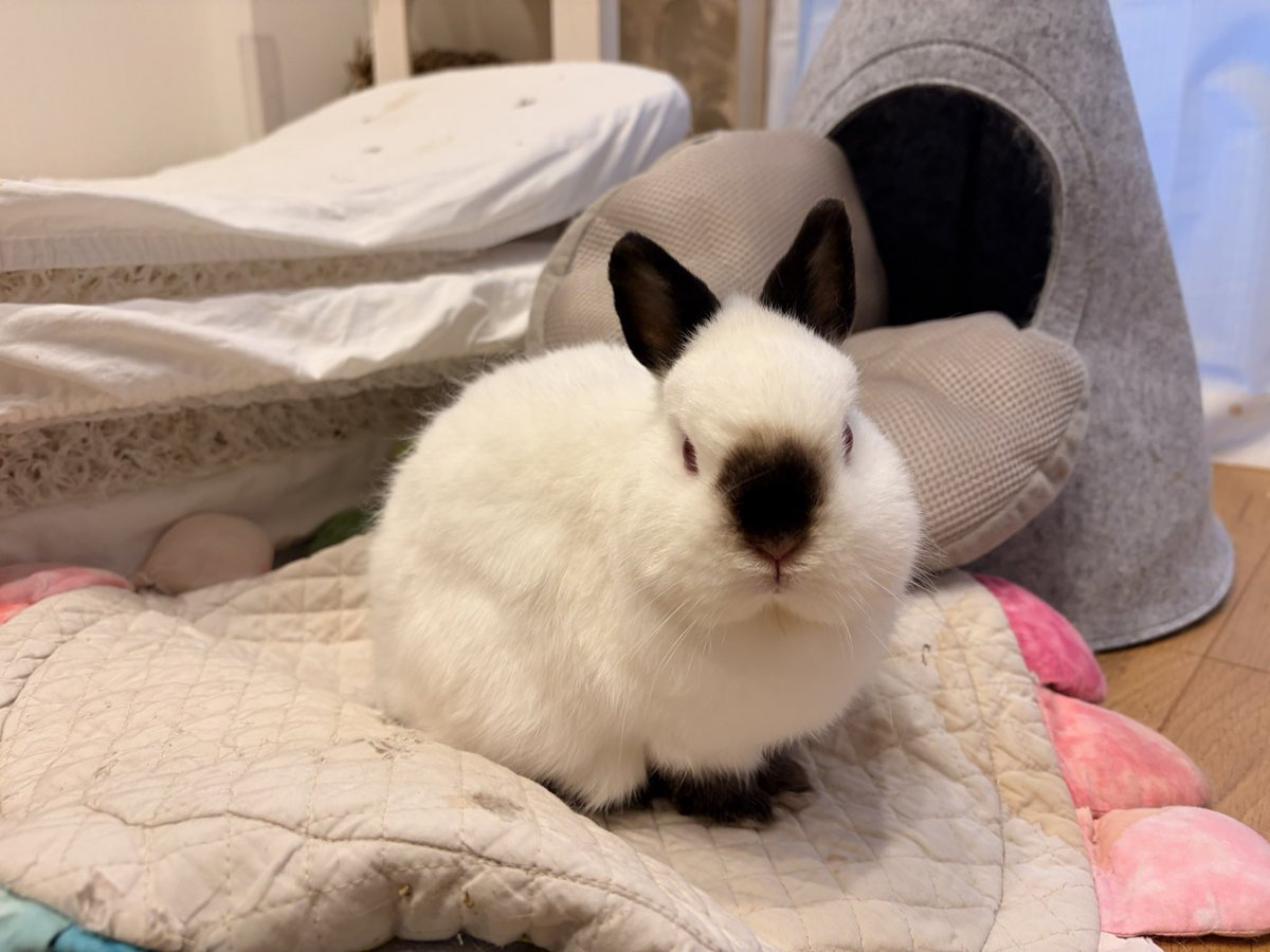 し！ら！こ！！！！