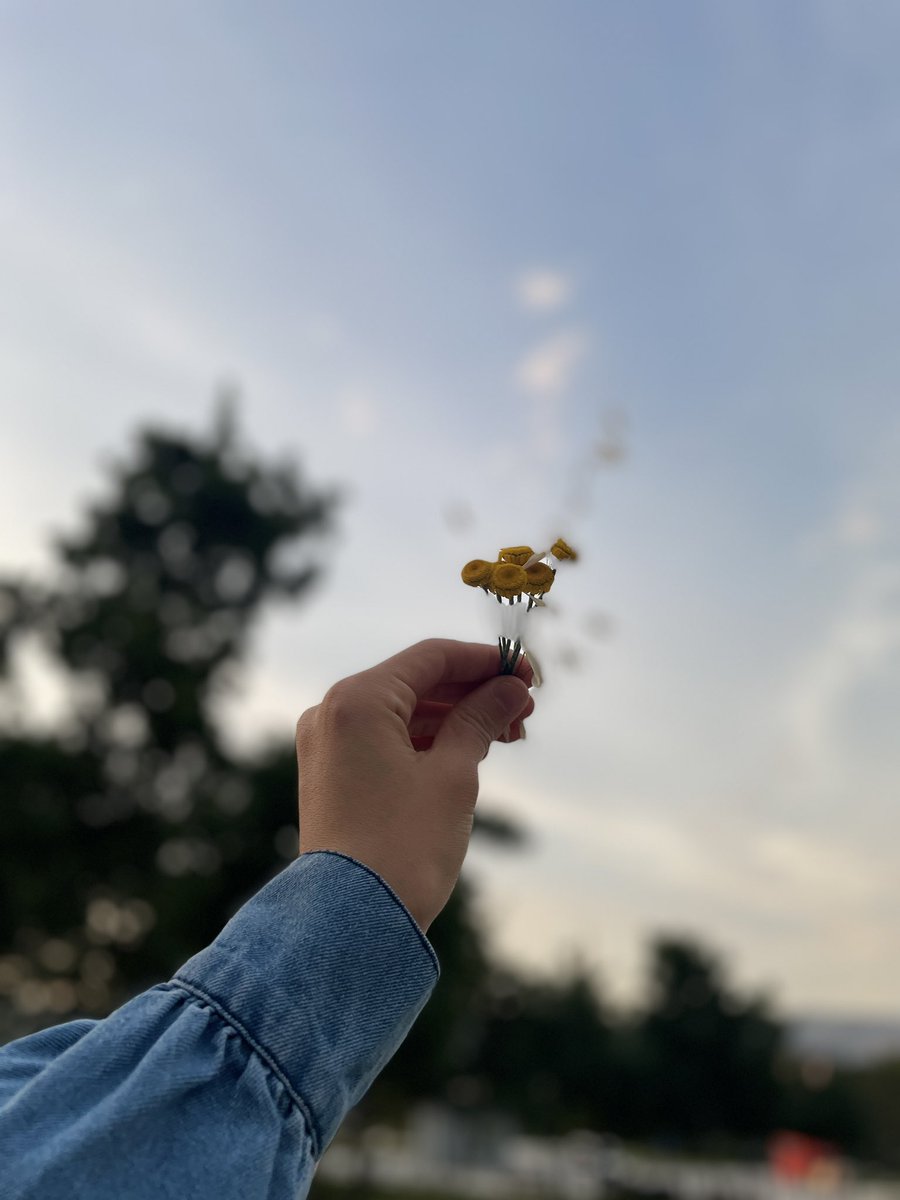 eliifveraa's tweet photo. Bir sedir dalına astım zamanı
Saygıyla sustular bütün sirenler
Zaman ki çok lifli bir düş urganı
Sabah gider, akşam döner trenler…

-Bahattin Karakoç https://t.co/CG7gjSfH3v