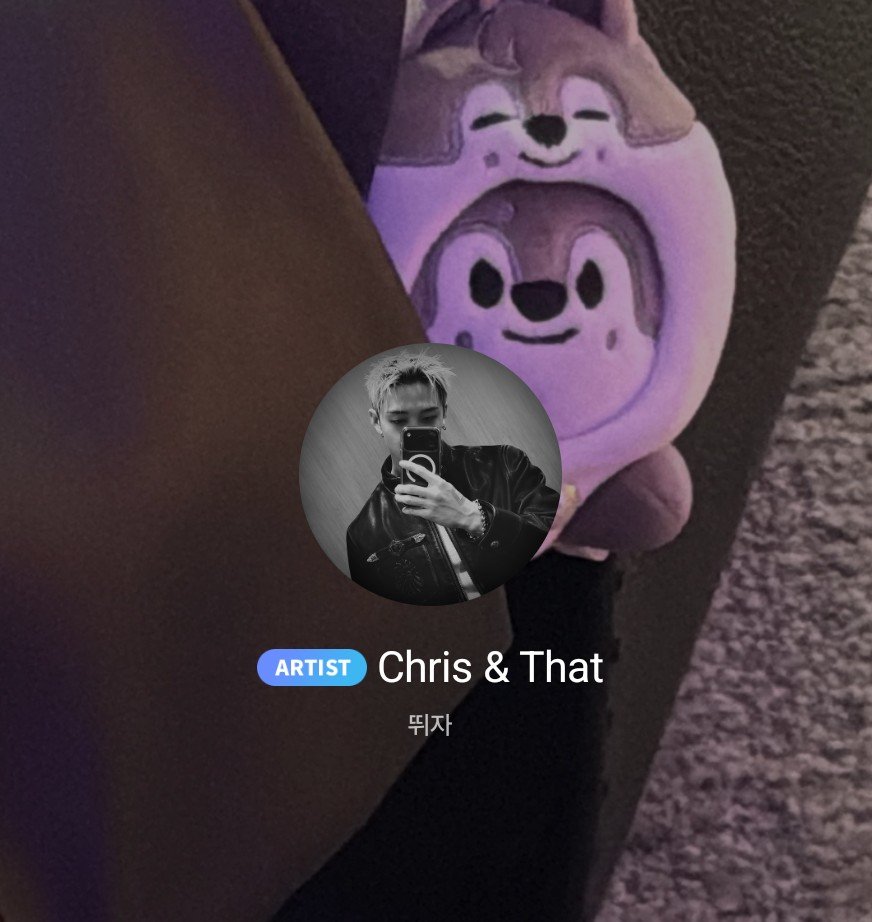 realskzoo's tweet photo. Chan cambio su nombre, foto de perfil y estado en bbl 🫧

"Chris &amp; That"
"뛰자 = Corramos/Vamos" https://t.co/gLNkWSeTEl
