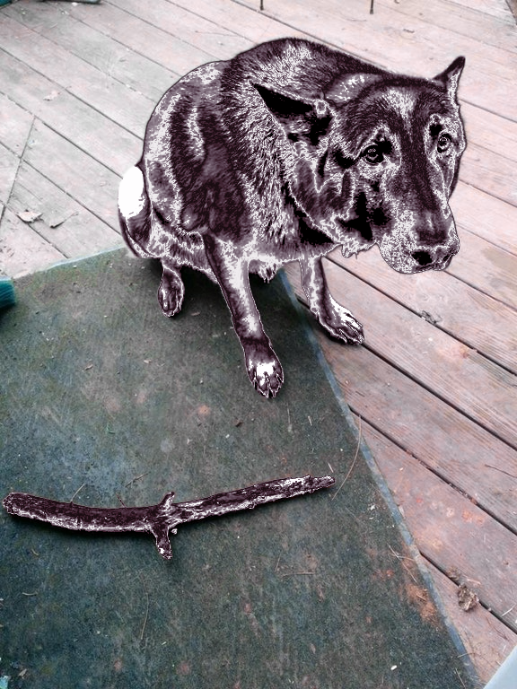 aydoplaydoh's tweet photo. @midas_toucher here's what your dog would look like as brass or tungsten https://t.co/dfD6RpRvjW