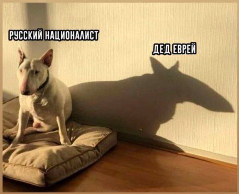 araslanros's tweet photo. @chiefEoSh @vicesam @vvestoxx оріНінал жеж був про рускє 😎 https://t.co/ffYYFvyQwJ