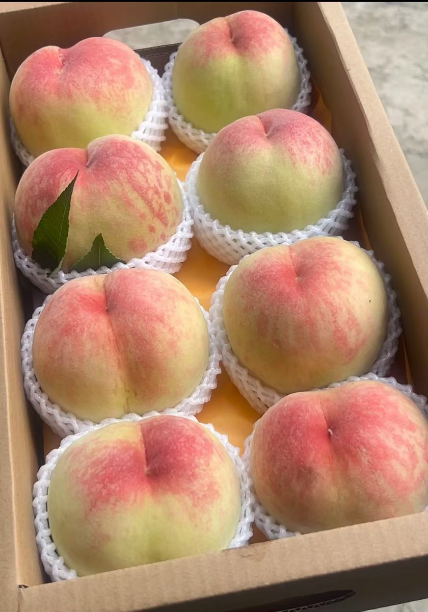 Coco_chen_chan's tweet photo. 奉化水蜜桃（玉露），汁水丰盈如蜜 https://t.co/D64nCMX6zG