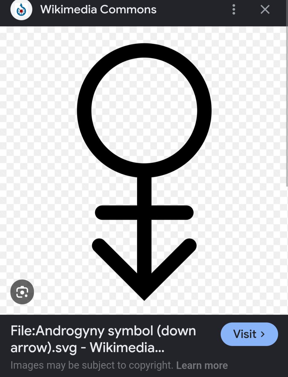 benniewormble's tweet photo. i find it suprising ive literally never seen someone mention part 4 jotaro has the androgyne symbol facing downward on his hat 3 times https://t.co/i3lr1JwHUq
