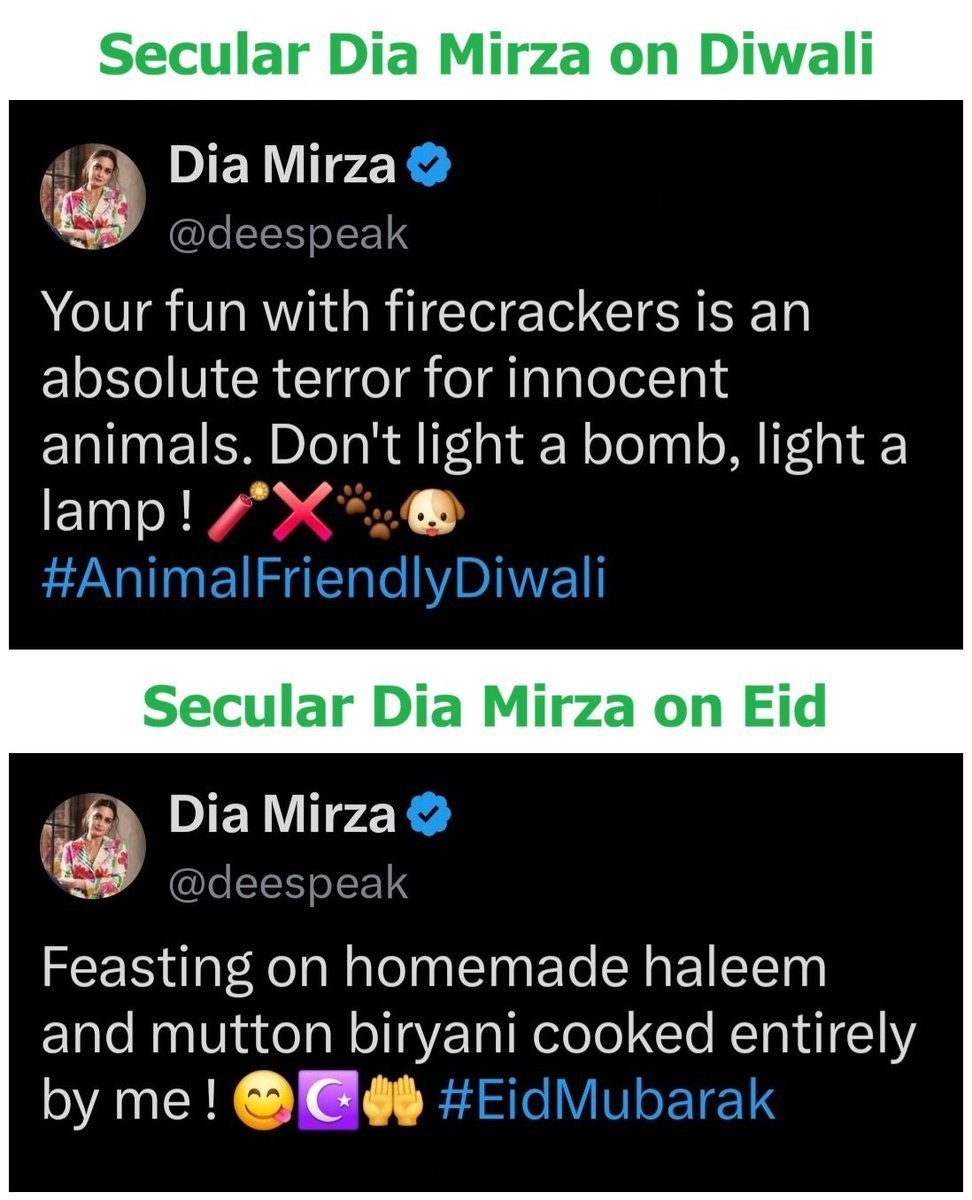 Intrepid Mumbaikar|मुंबईचा वाटाड्या| イントレピッド ムンバイカ tweet media