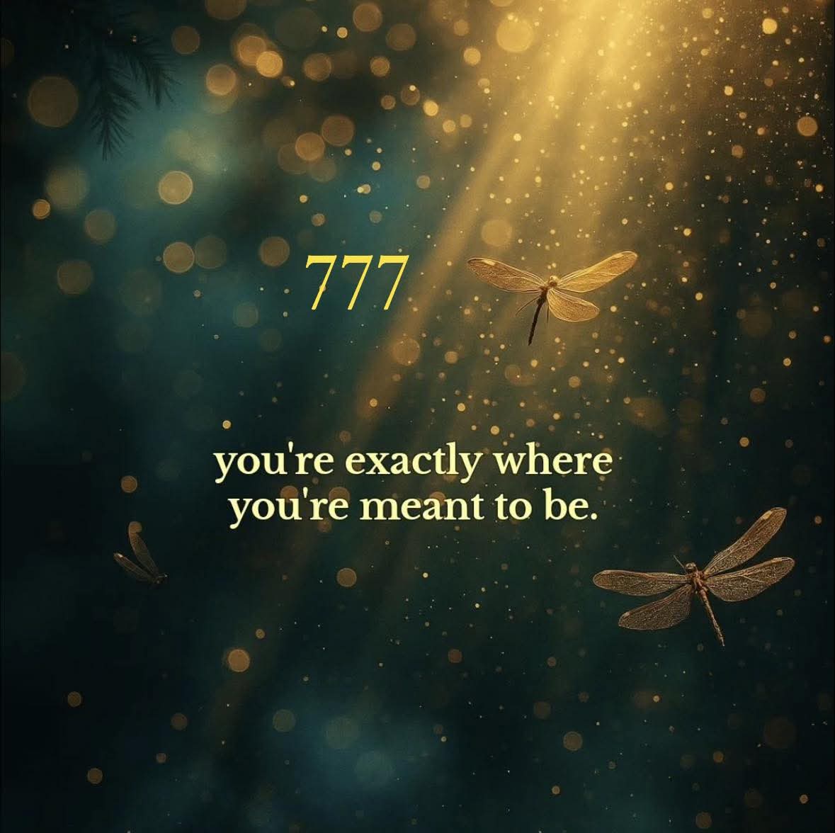 Higher_Self1111's tweet photo. 777

I am trusting the timing of my life, right now and always. Claim it!💫💖 https://t.co/MxPgdJ8kA4