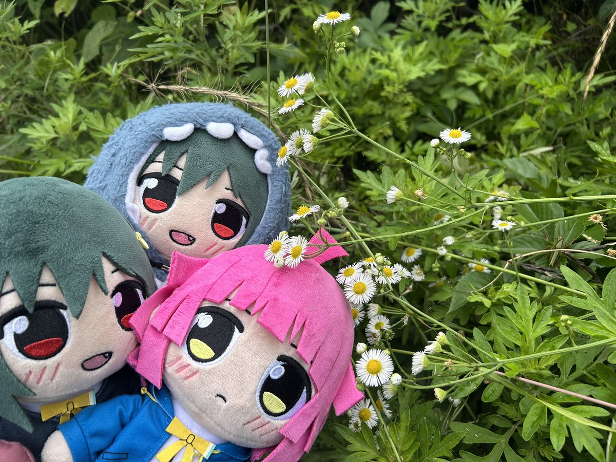 sioko4025's tweet photo. 【今更ですが】
本当にあなた達と8thに行けて良かったです。
ラフェスもよろしくね。

つか東京中での連番写真一枚もねぇじゃねぇか
@Wegottaburn @IkeChan1111 https://t.co/7W3MyP3UI1