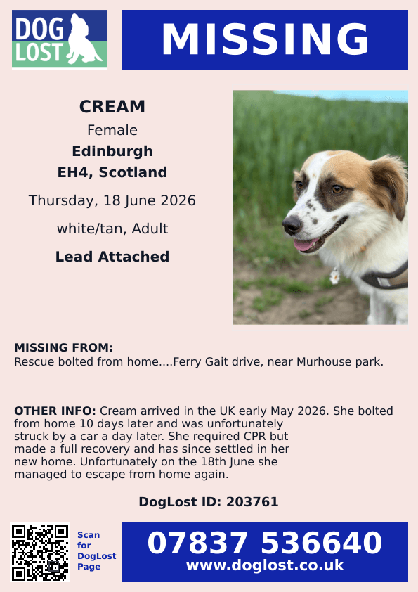 Missing Pets GB tweet media