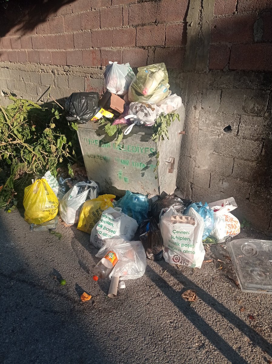 TurkusagiH's tweet photo. İnsanda biraz utanma olur. Çöp almaktan başka bir hizmeti yok belediyenin ve şuan durum böyle, sineğin haddi hesabı da yok.Sorulmadan yazalım Yamaçlı Mah. 624-623 sokak.. @Adana_Bld  @yuregirbld @eczozgurozel https://t.co/pXEmMuzbIS