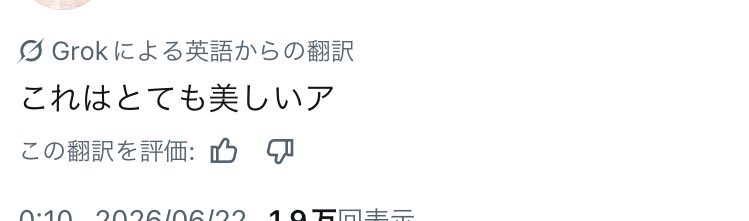 Charoneeze's tweet photo. この方日本代表のことすごく褒めてくれてるのに、Grokの自動翻訳が事故り散らかしている…😣 https://t.co/iE50L6v0lK