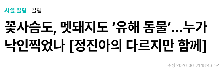 aniko_welfare's tweet photo. "멧돼지의 포상금은 마리당 수십만원에 이른다. 제도 도입 전 1만5천여명이던 수렵면허 1종 소지자는 2023년 말 기준 3만여명으로 두배 이상 급증했고, 부당 수령이나 오인 사격 등의 문제 역시 끊이지 않고 있다."(기사읽기: https://t.co/cCCBgGAPkh) https://t.co/AoM2O9uS64