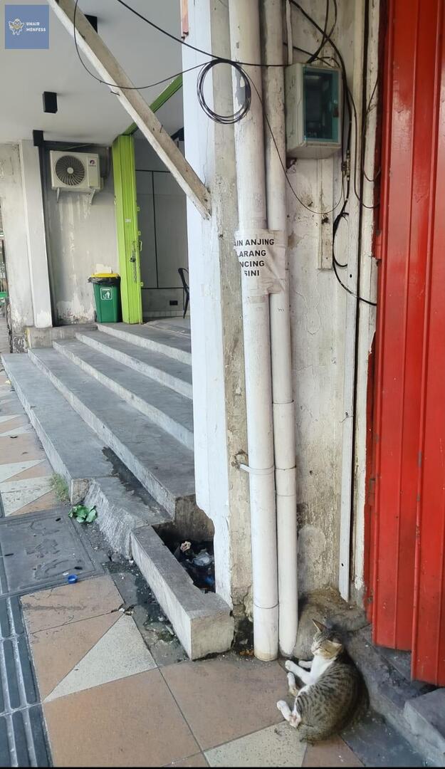 unairmfs's tweet photo. -uner guys urgent, ada yang mau bantu kucing ini ga ya, dia kemarin ketabr*ak motor sampe sekarang masih di deket yotta darmawangsa, dia gabisa jalan karna kedua kakinya patah. aku cuma bisa bantu kasih makan😓 (dia ga mau makan btw) https://t.co/ogllHlIdTc