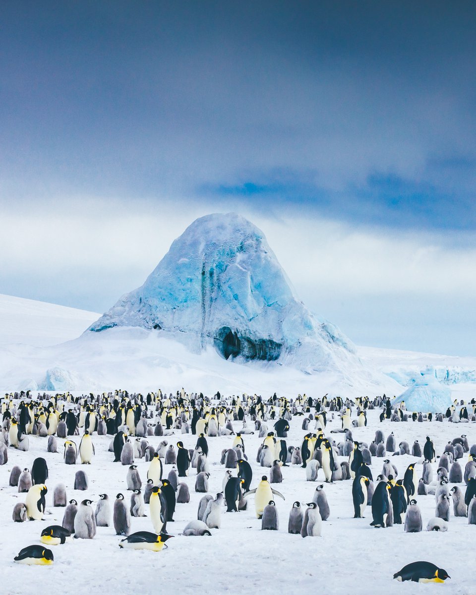 QuarkExpedition tweet picture
