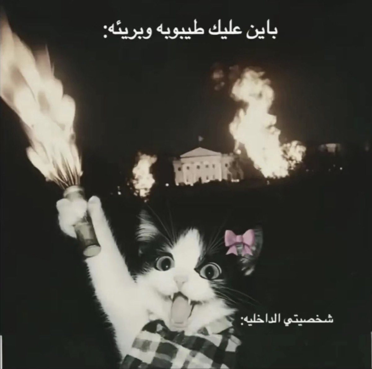 3yn3i's tweet photo. @amii1ra @k2l9i https://t.co/lnGbQPGUFX