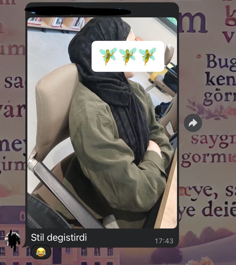 semignaveatagna's tweet photo. leylanın da hırstan gözüne uyku girmiyor https://t.co/Wgf6Rb2yeB