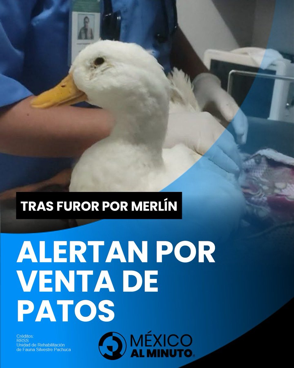 MÉXICO AL MINUTO tweet media