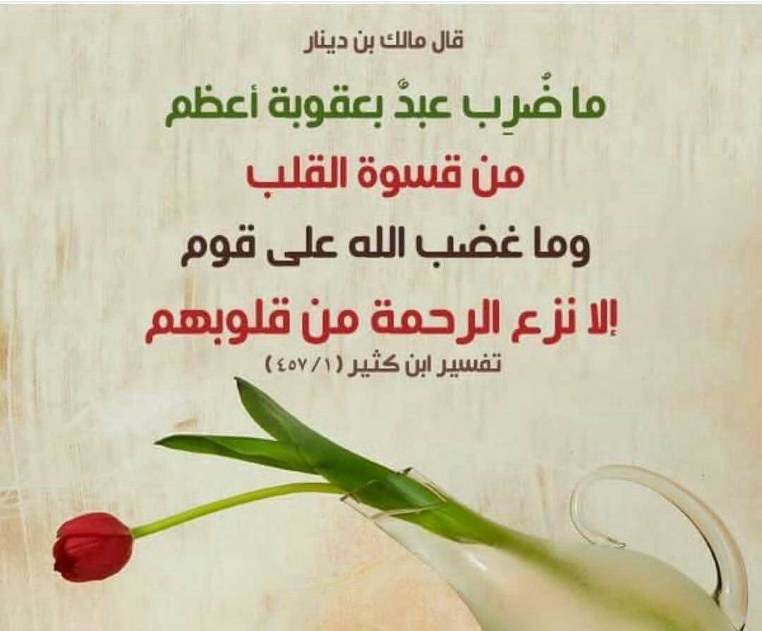 💥 ﮼فوائد ﮼و ﮼فرائد 💥 tweet media