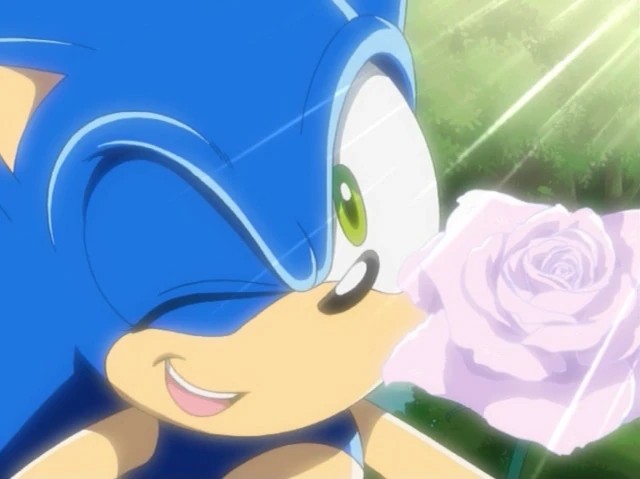 SonicXrks2501's tweet photo. Something for @breannef192 you like it? https://t.co/o8ifT2HrJu