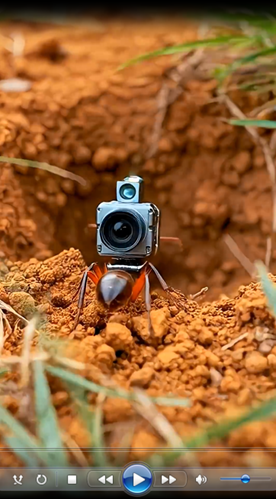 melakgaf's tweet photo. Caméra POV Ant : Explorez les mystérieux souterrains !!
Plongez dans le monde minuscule qui se trouve sous nos pieds grâce à cette vidéo virale filmée du point de vue d'un animal ! @EdimakorFrance
#tiktok #shorts #trending #ViralShorts#TrendingNow #animalshorts #animalcamera https://t.co/8IYARU5Tfm