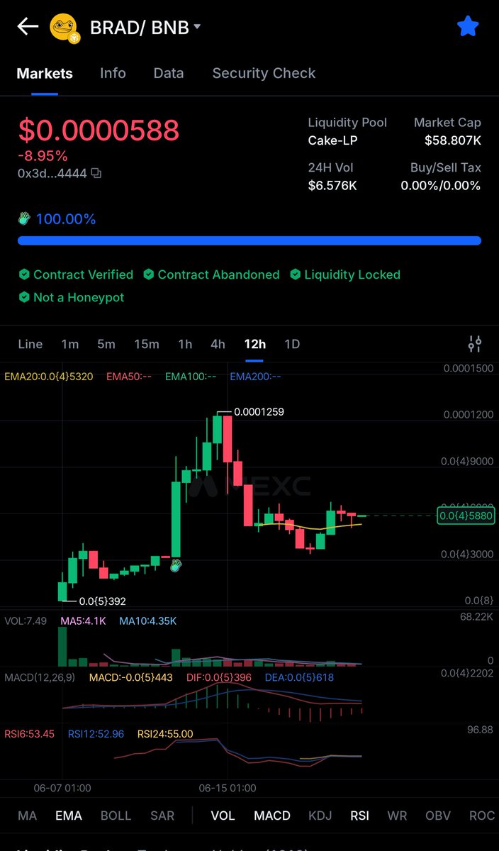 LordBradBNB's tweet photo. Don't miss out, tomorrow might be too late $BRAD 🟡 https://t.co/hYJPKyJE9V