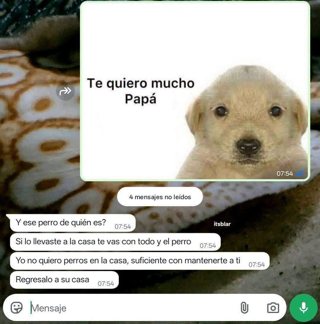 Javisness's tweet photo. Regrésalo https://t.co/SFOja1Wu0c
