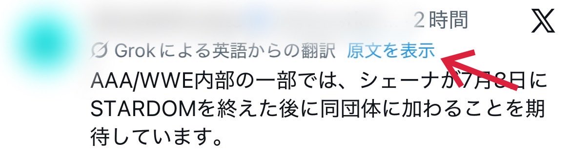 イーロン・マスクさんへ このAI翻訳機能は素晴らしいですが、まずは 