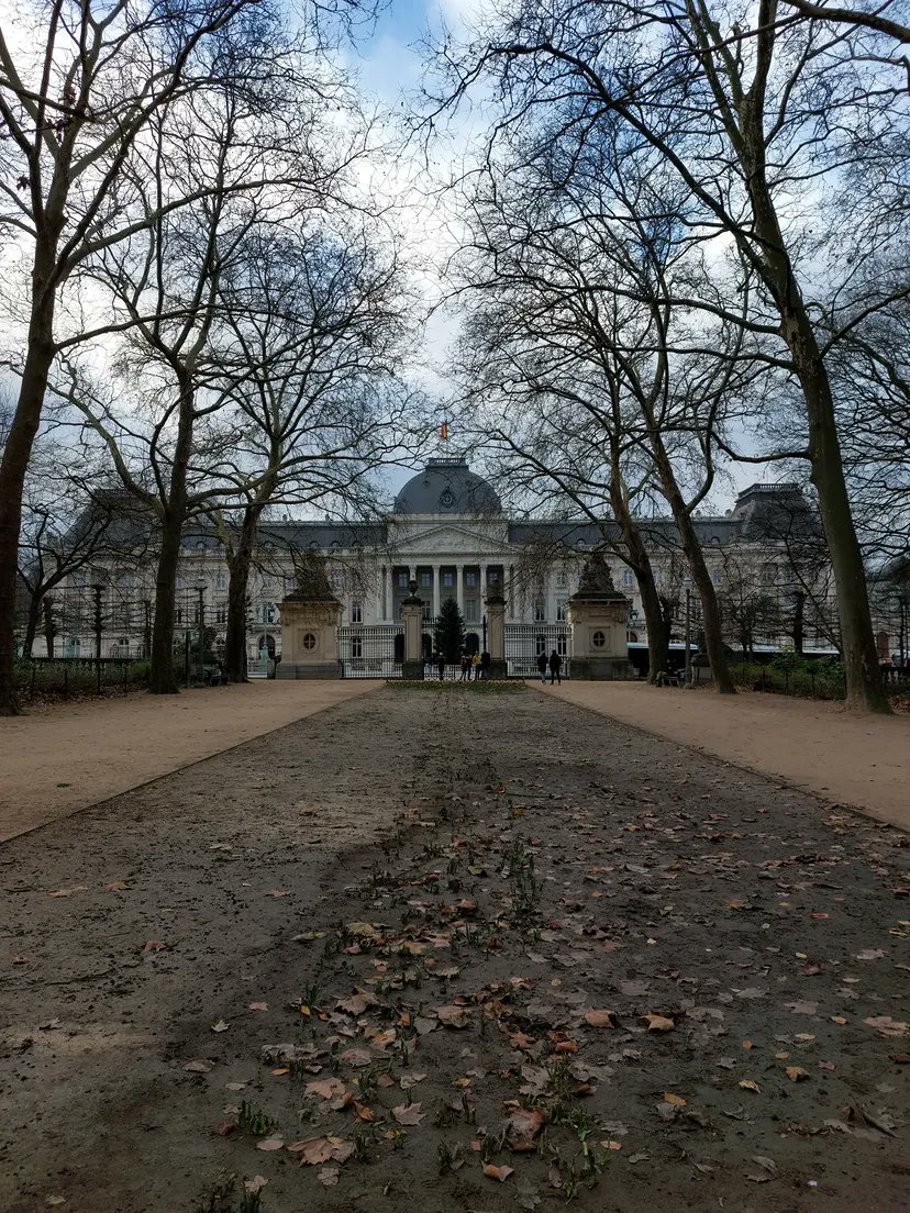 saarahprocopio's tweet photo. last winter's trip to Belgium: Brussel - Gent 🇧🇪

part 2 https://t.co/E7tZFOMmgv