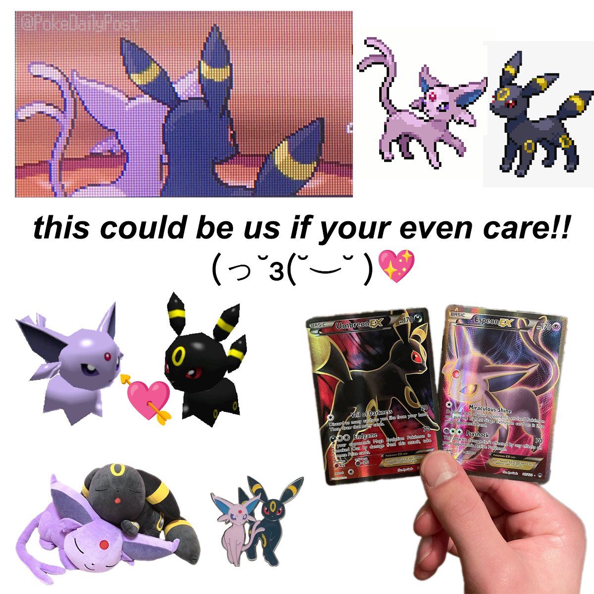 Pokémon Daily Post💫 tweet media