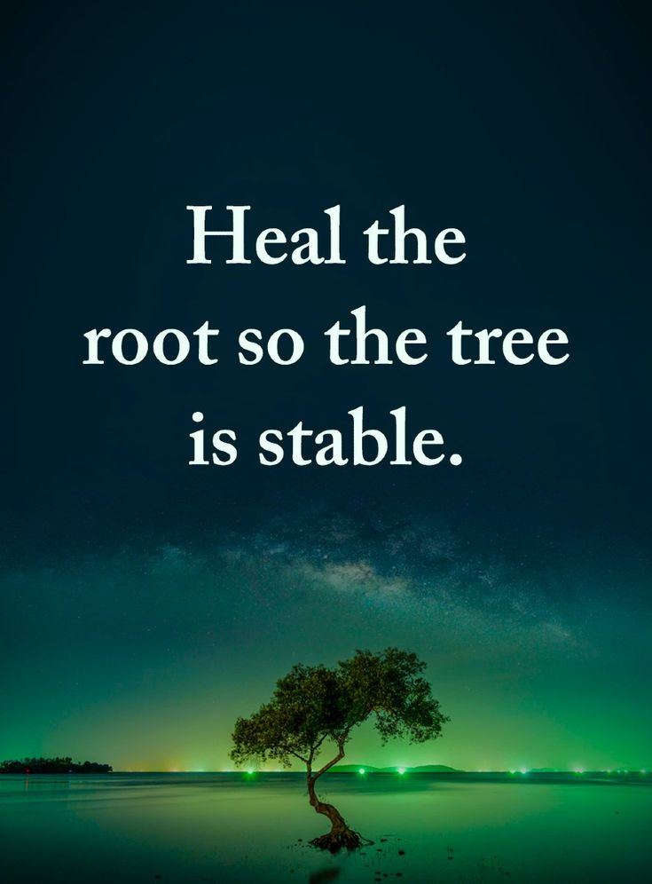 The Motivational Quotes tweet media