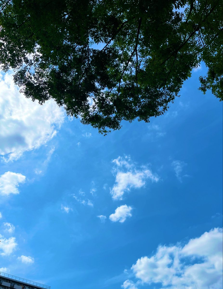 murasakisuda's tweet photo. この2ヶ月の試練？って後々すげープラスというか財産になるんじゃないかなぁ。何となくそんな気がするんよね。
ほら、コロナ禍乗り越えて強くなった時と同じようにね。

てことで明日も普通に仕事なので寝ますおやすみー（"まだ寝たくない症候群"を無理やり抑え込みます） https://t.co/zhJS4lx57Q