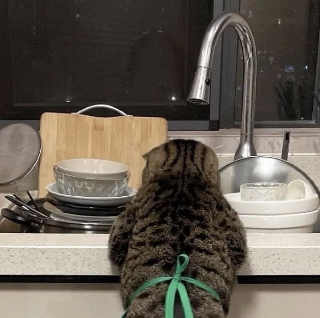 twaniimals's tweet photo. https://t.co/Zo8g5ybwFf