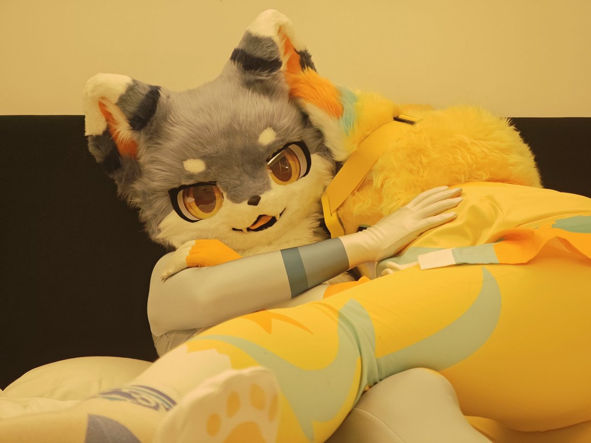 FengLan0413's tweet photo. 依旧调戏害羞的弟弟

#zentai #furry #fursuit #校服 https://t.co/cro1ptKHcK