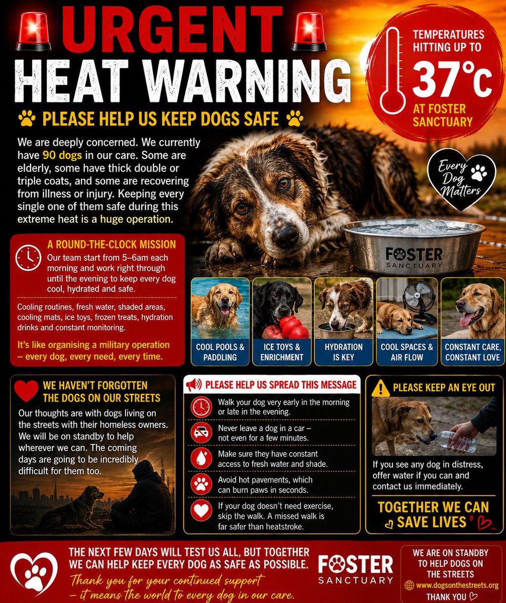 dotslondon's tweet photo. 🚨 URGENT HEAT WARNING🚨

The forecast is now showing temperatures of up to 37°C, here at Foster Sanctuary we are deeply concerned.

We currently have 90 dogs in our care. Some are elderly, some have thick double or triple coats, and some are recovering from illness too

Keeping every single one of them safe during this extreme heat is a huge operation.

Our team will be starting work from 5–6am each morning and working right through until the evening to make sure every dog stays as cool, hydrated and comfortable as possible. 
It's like organising a military operation, with cooling routines, fresh water, shaded areas, cooling mats, ice toys, frozen treats, hydration drinks and constant monitoring throughout the day.

We're also making sure our amazing staff are looked after, because these conditions are challenging for everyone.

Our thoughts are also with the dogs living on our streets alongside their homeless owners. As always, we will be on standby to help , but we know the coming days are going to be incredibly difficult.

Even in the temperatures we've experienced today, we've already seen dogs struggling. The next few days could become life-threatening for many.

🐾 Please help us spread this message: • Walk your dog very early in the morning or late in the evening. • Never leave a dog in a car, not even for a few minutes. • Make sure they have constant access to fresh water and shade. • Avoid hot pavements, which can burn paws in seconds. • If your dog doesn't need exercise, skip the walk. A missed walk is far safer than heatstroke.

Please keep an eye out for any dog that appears to be in distress and, if you can, offer water to dogs you may see with homeless owners.
These next few days will test us all, but together we can help keep every dog as safe as possible.
Thank you to everyone who continues to support Foster Sanctuary and the work we do. 🧡 

https://t.co/EgvWWRToji