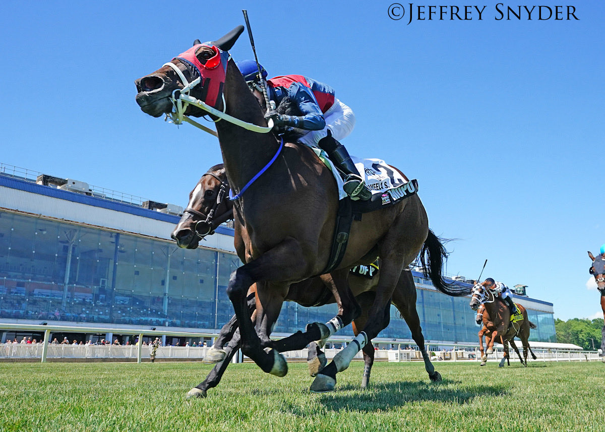 MarylandTB's tweet photo. #MDBred Mopo, trained by Phillip Capuano, earned a half a length win over Gift of Gab in her stakes debut in Saturday’s $100,000 Jameela Stakes for fillies and mares at Laurel Park under jockey Forest Boyce. https://t.co/y4tR1xneEb