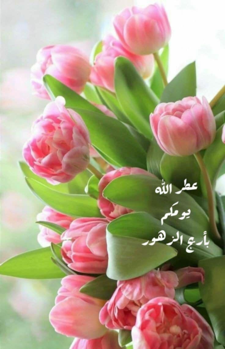 Qrawy2's tweet photo. همسة المساء …👉
ابتسم فما زال في اليوم متسع للأحلام 
للسعادة 
للحب بل …:
وفي القلب مكان للفرح 
وفي :
الدعاء سرٌ لا يخيب ……….🤲
..🌹مساء الخير والسعادة 🌹… https://t.co/aDIFI19e41
