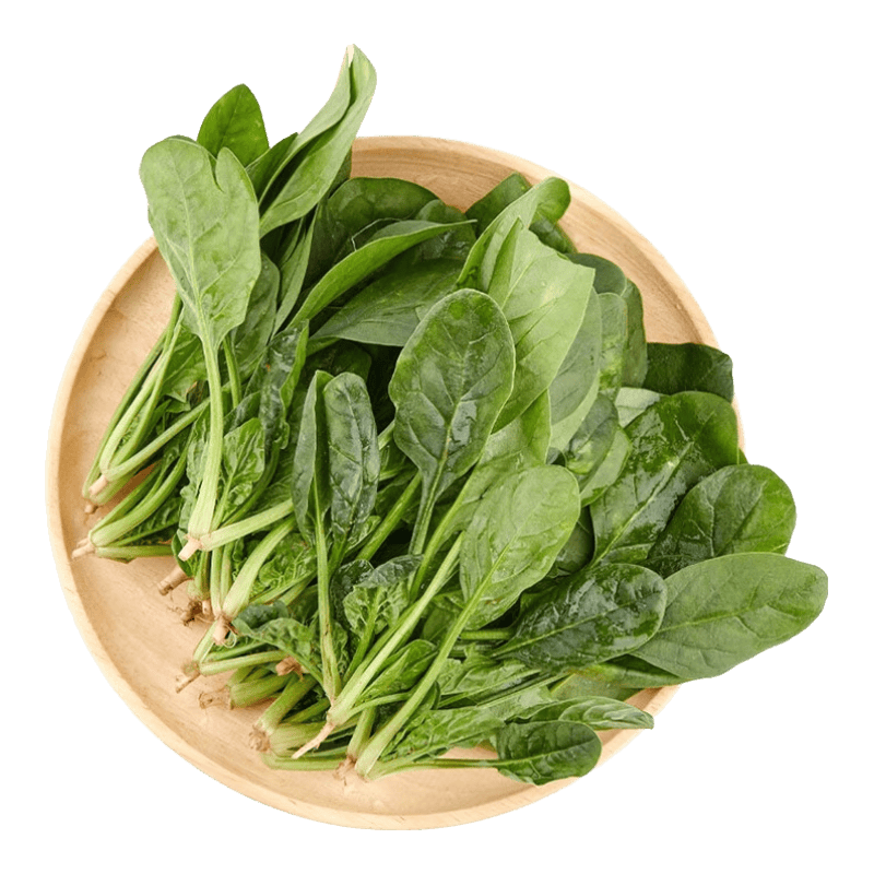 izot1992's tweet photo. Just tried the newly released organic spinach! Tender, crisp, and packed with fresh green aroma—perfect for a quick salad. 10/10 for flavor and quality! https://t.co/2QyhbgHv9B