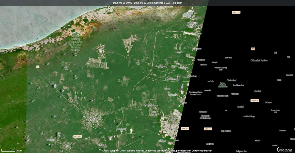 eit1mx's tweet photo. El mal llamado tren maya, que de maya no tiene nada.
Un tren que no trae beneficios para la Península de Yucatán, pero sí trae demasiados problemas.
Bastante documentada está la extensa deforestación de la selva maya, además del daño ecológico que esto ocasiona, creando más barreras para la fauna de Yucatán.
Además, las tierras que se venden como "terrenos premium" por la cercanía con la ruta del tren.
Los políticos que se siguen beneficiando de esto persiguen y encarcelan a los mayas que defienden sus tierras.
La corrupción está a la vista de todos, pero parece que poco se puede hacer para defender esta tierra.
Sentinel-2 registra la grave pérdida de selva en Yucatán, en el triángulo entre Mérida, Progreso y Hunucmá.