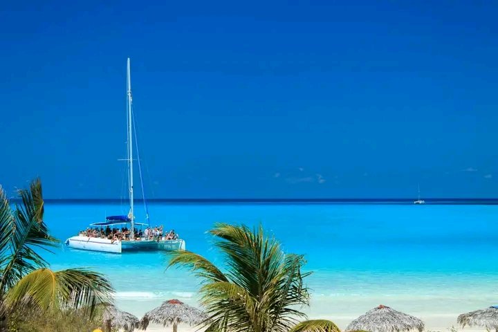 Alejand39161614's tweet photo. ✨¿Sabías que Cayo Coco fue reconocido en los Travellers’ Choice 2026 de Tripadvisor? No es casualidad: su naturaleza, su tranquilidad y sus resorts lo hacen irresistible.
#CayoCoco
#CubaMágica
#CubaUnica
#CubaTravel https://t.co/imE63mVKYN
