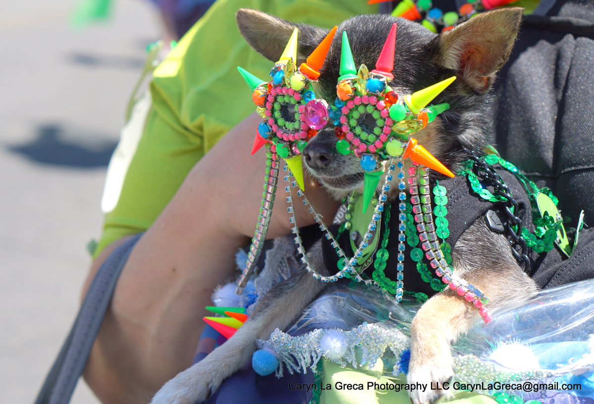CarynLaGreca's tweet photo. The Coney Island Mermaid Parade was an absolute blast!  So many incredible costumes, creative characters, and amazing energy all along the boardwalk! 6/20/2026  #carynlagrecaphotographyllc https://t.co/8e2DAptaqt https://t.co/SkjgQzELA9