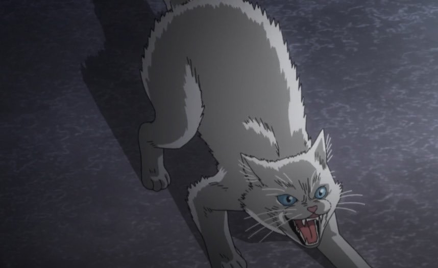 rindoustars's tweet photo. also just wanted to point out this bit of foreshadowing/parallel here 

the cat shows up during that todoroki dinner where izuku and katsuki are invited over and the subject of touya finally gets brought up 😭😭🙏 

i just find it interesting that the cat is seen right outside the todoroki estate, and is just plain aggravated (much like dabi keeping an eye on his family)