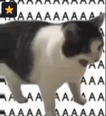 FantomShadowVT's tweet photo. this sums up the live with @FireHawkP2 + @lordeathloss 

these were hawks and me during any time death spoke https://t.co/OruL3Ly5KL