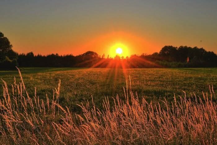 SerhiyFursenko's tweet photo. The summer solstice, which falls this year on June 21, is the longest day and shortest night of the year. It’s the beginning of the astronomical summer, which lasts until the autumnal equinox. This day symbolises the peak of solar energy and vitality. 
#SummerSolstice https://t.co/rjezibN5Hu