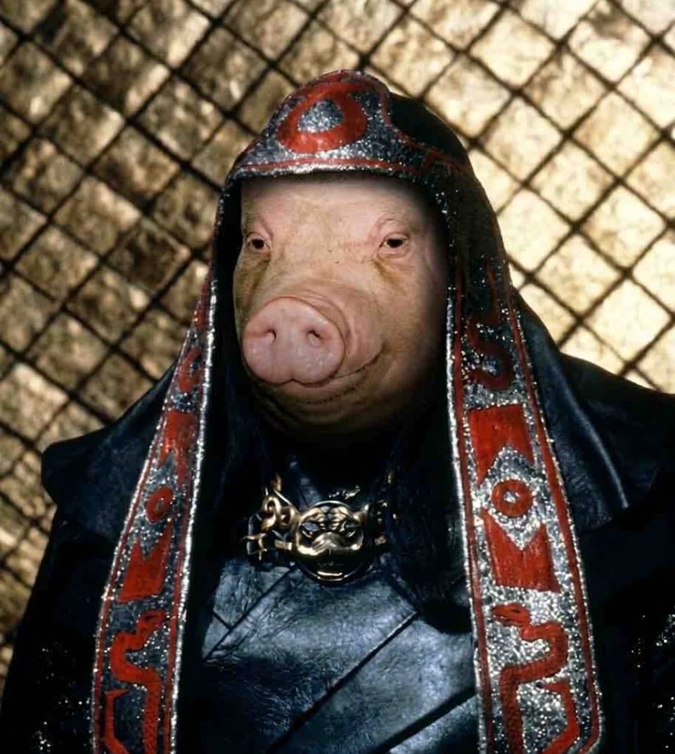 HowlingWiggerPig 🇺🇸 tweet media