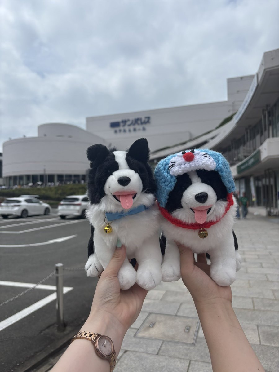 __2hon7's tweet photo. 私のunique終幕!!!
sumikaに出会えた幸せで溢れたツアーだった‼️片岡さんの爆弾発言でもう行けないことがより悔やまれる🤦‍♀️笑
いま欲しい言葉ばかりで泣いて、MCや曲で笑ってまた泣いて大忙し😂
これからのsumikaも期待しかないし、ずっと頼りにしてます😮‍💨
おかえりとただいまが言える日まで☺️👋 https://t.co/HqrqQwVQfC
